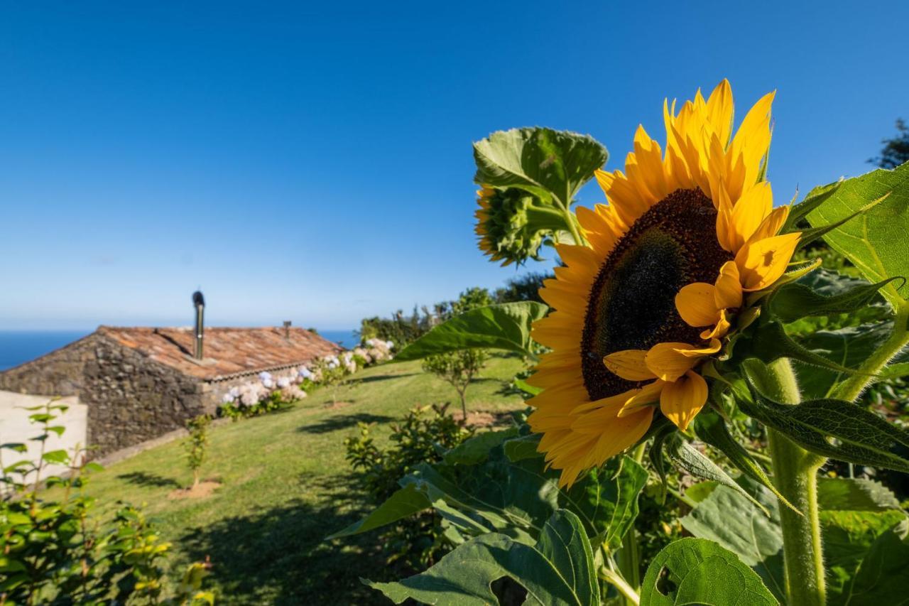 Casa Do Castanheiro - Nordeste, Acores Nordeste  Kültér fotó